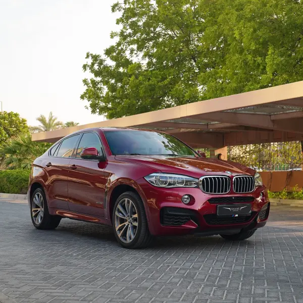  BMW X Series 